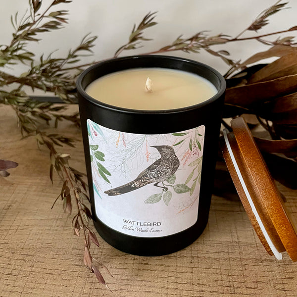 Golden Wattle with Wattlebird Design