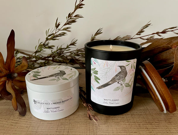 Golden Wattle with Wattlebird Design